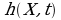 h(X,t)